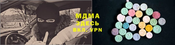 гашик Сосновка