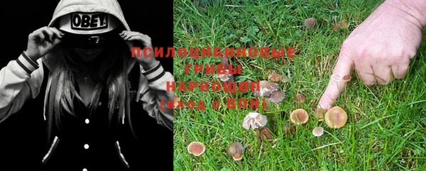 мяу мяу мука Заволжье
