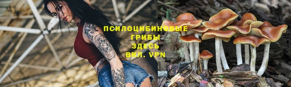 мет Заводоуковск