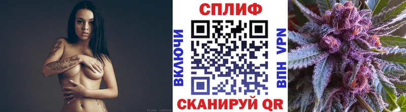Канабис конопля  Купить  Кола 